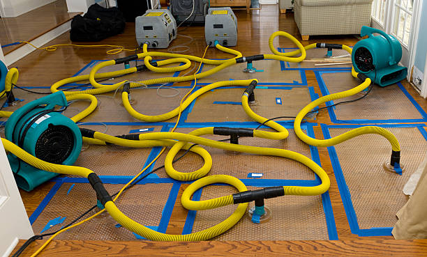 Professional Sewage Cleanup technician working in DeLand, FL